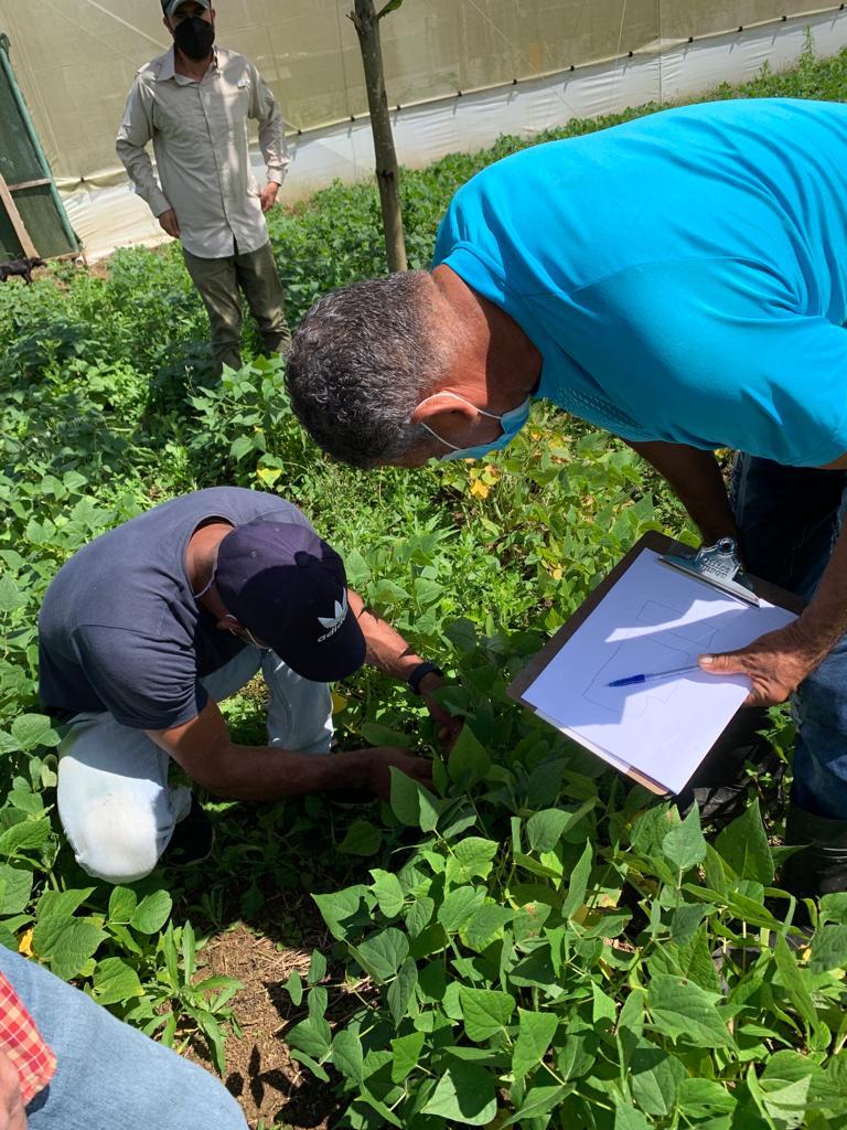Capacidades en la Producción de Semillas para una Agricultura Adaptativa y Resiliente